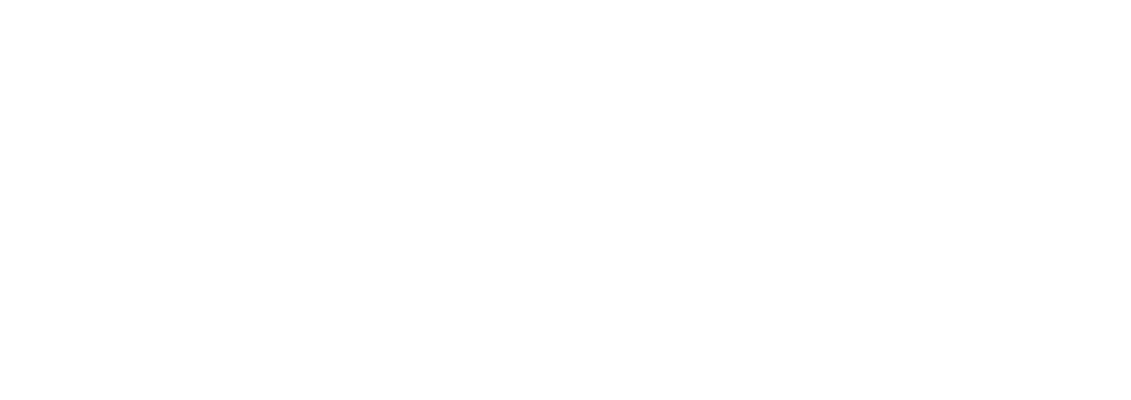 Organizer